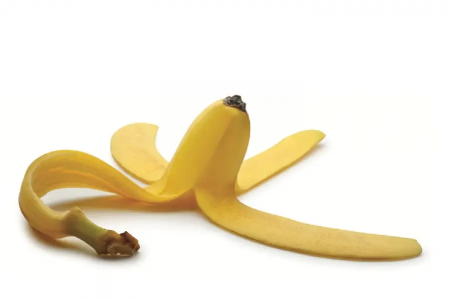 banana skin income protection sapience financial
