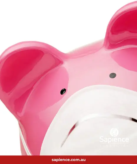 pink piggy bank with face mask