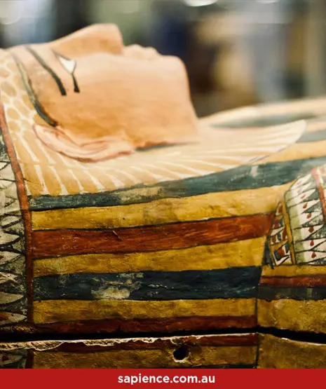 egyption pharaoh sucofocus
