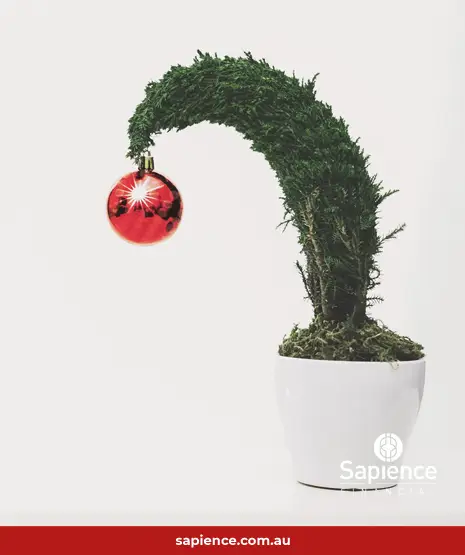 Christmas tree with single ball decoration