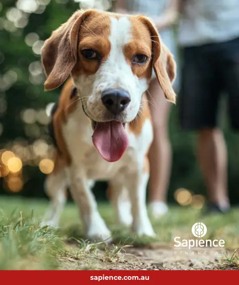dog and owner walking in  park